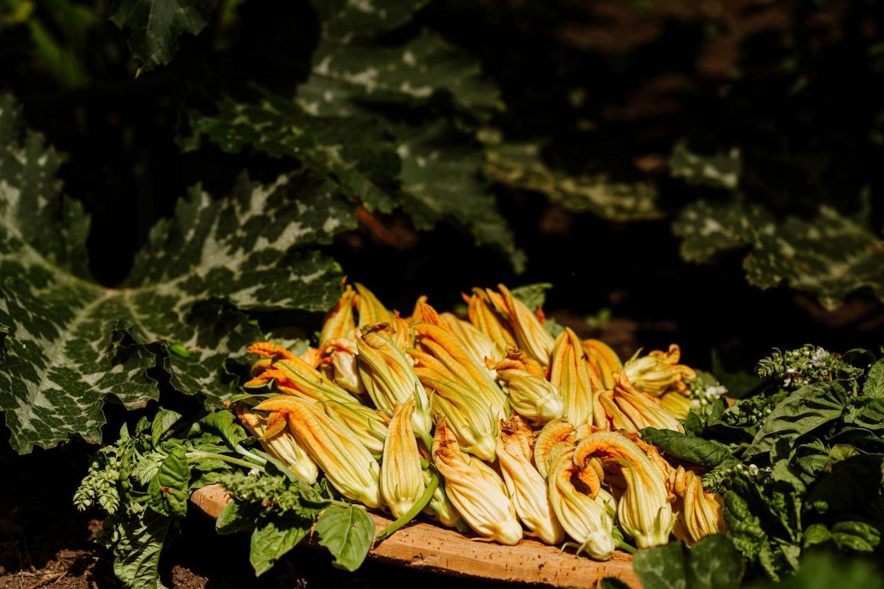 Vallicciola Nature Hotel 滕皮奥保萨尼亚 外观 照片