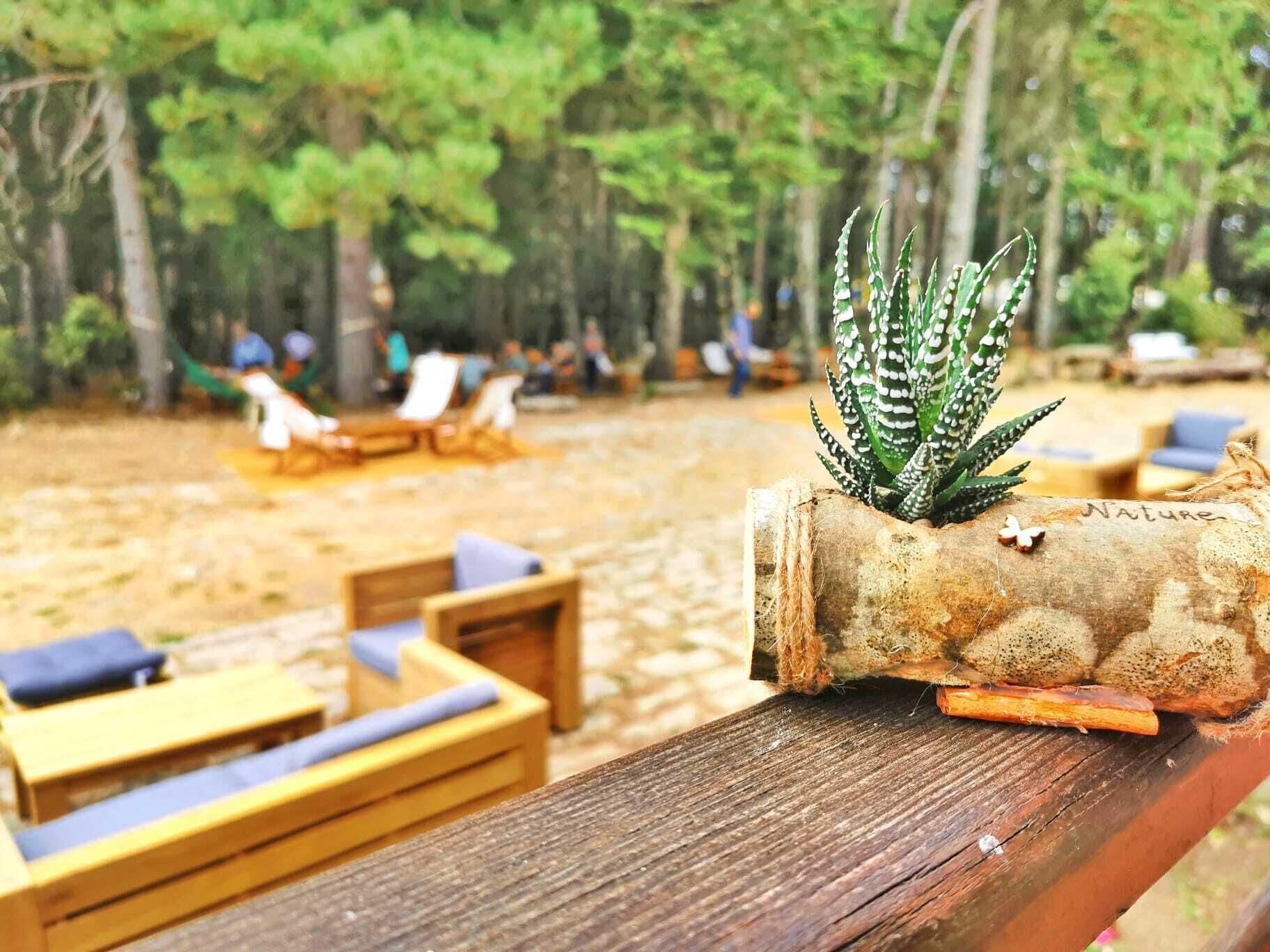 Vallicciola Nature Hotel 滕皮奥保萨尼亚 外观 照片